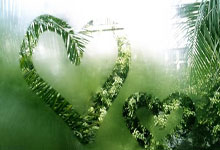 中甲升级中超名额增至4个，会给中国足球带来什么影响？